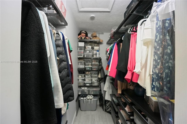 1173 NW 134th Pl, Miami, FL 33182 - spacious closet with wood finished floors and attic access