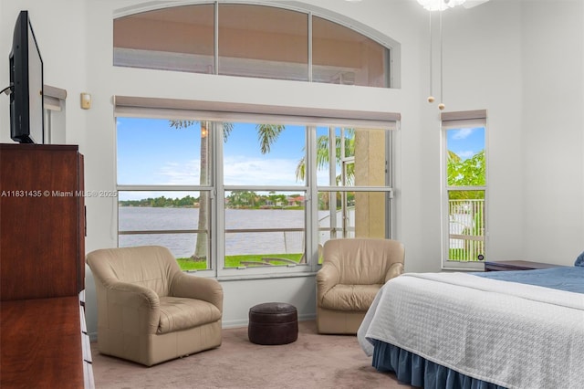 2373 NW 195th Ave, Pembroke Pines, FL 33029 - bedroom featuring carpet floors, a water view, multiple windows, and a high ceiling