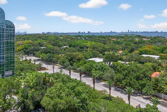 4250 Biscayne Blvd Unit 1206, Miami, FL 33137 - view of urban area with a tree filled landscape