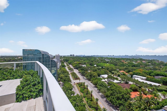 4250 Biscayne Blvd Unit 1206, Miami, FL 33137 - balcony with a water view and a view of city