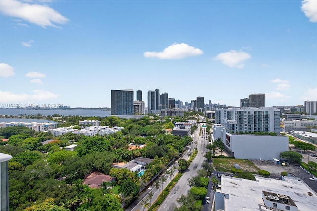 4250 Biscayne Blvd Unit 1206, Miami, FL 33137 - bird's eye view of city skyline and a nearby body of water