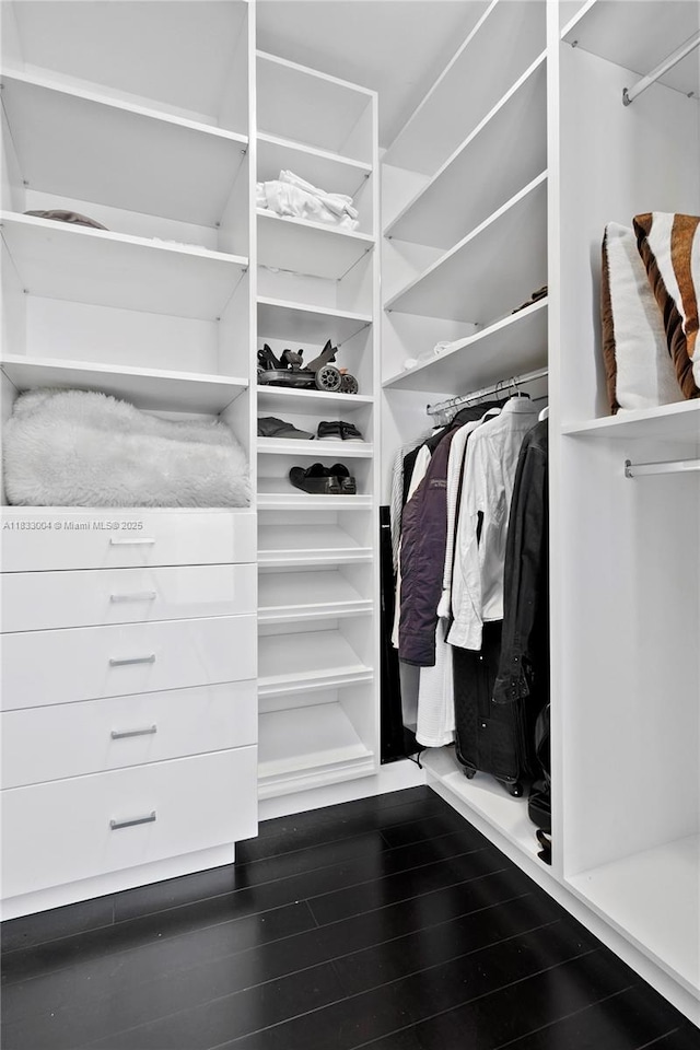 1425 Brickell Ave Unit 42E, Miami, FL 33131 - walk in closet with dark wood-style flooring