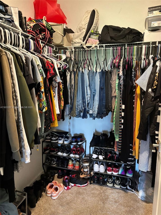 830 SE 19th St, Homestead, FL 33034 - walk in closet with carpet floors