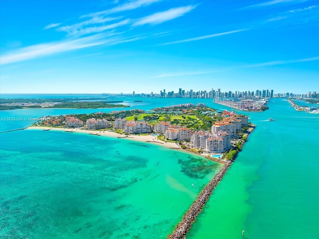 7441 Fisher Island Dr Unit 7441, Miami Beach, FL 33109 - photo 44