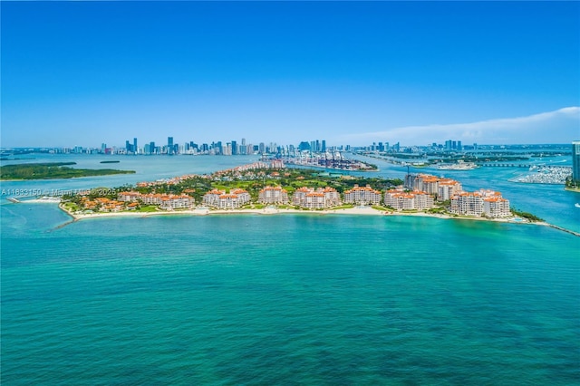 7441 Fisher Island Dr Unit 7441, Miami Beach, FL 33109 - photo 48