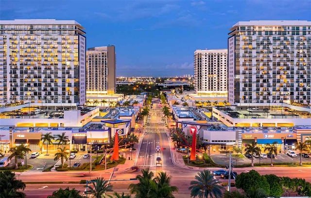 5350 NW 84th Ave Unit 1513, Doral, FL 33166 - view of city