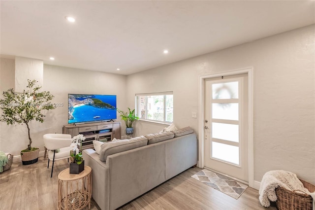 6250 SW 19th St, Miami, FL 33155 - living room featuring light wood finished floors and recessed lighting