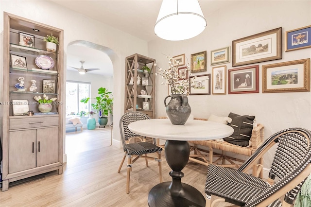 6250 SW 19th St, Miami, FL 33155 - dining room with light wood-style flooring and a ceiling fan