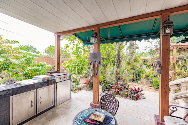 6250 SW 19th St, Miami, FL 33155 - view of patio / terrace with a sink and exterior kitchen