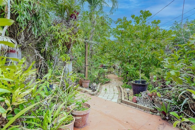 6250 SW 19th St, Miami, FL 33155 - view of patio / terrace