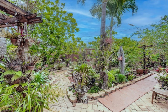 6250 SW 19th St, Miami, FL 33155 - view of patio featuring a pergola