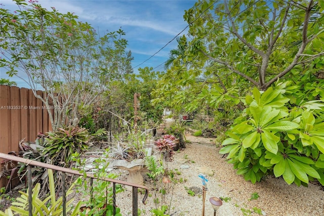 6250 SW 19th St, Miami, FL 33155 - view of yard