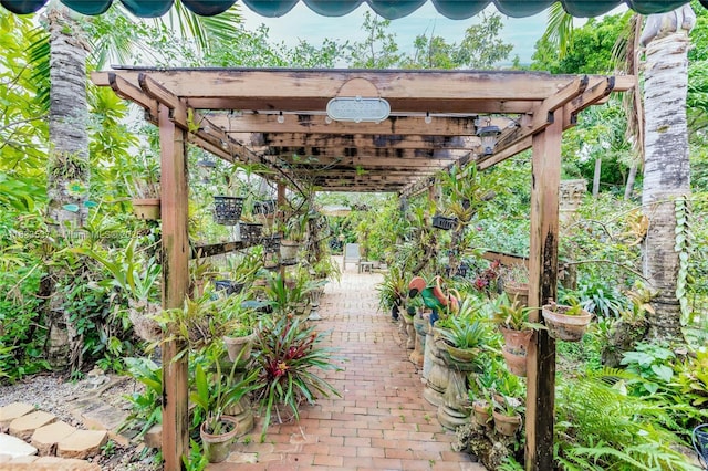 6250 SW 19th St, Miami, FL 33155 - view of patio / terrace featuring a pergola