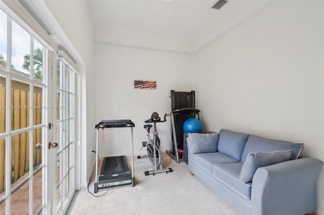 9364 SW 164th Ct, Miami, FL 33196 - exercise area with carpet floors and french doors