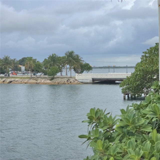 5 Island Ave Unit 5A, Miami Beach, FL 33139 - photo 19