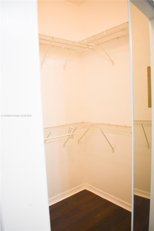 9123 SW 152nd Path, Miami, FL 33196 - walk in closet featuring dark wood-type flooring