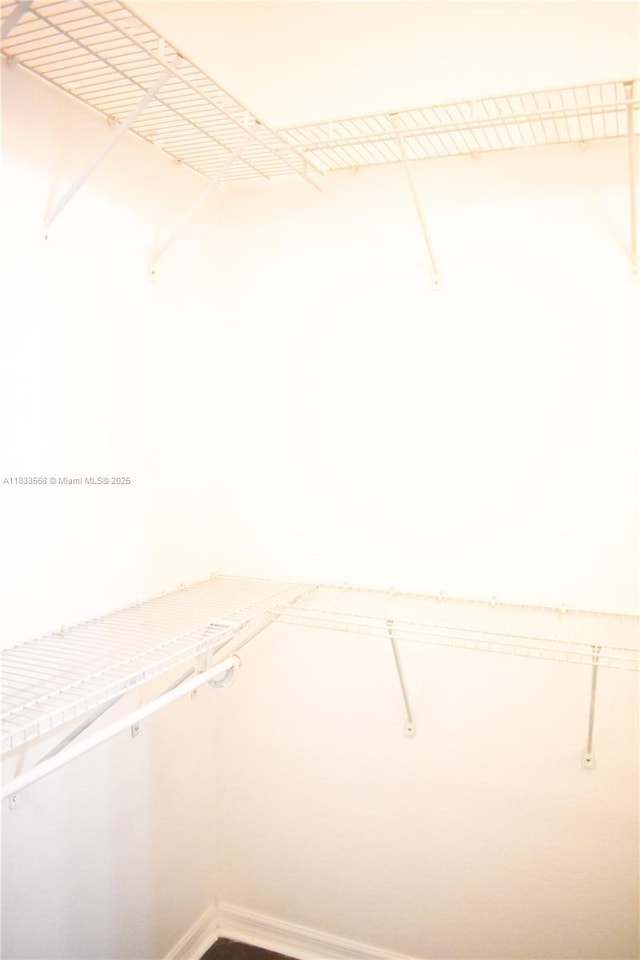 9123 SW 152nd Path, Miami, FL 33196 - view of spacious closet