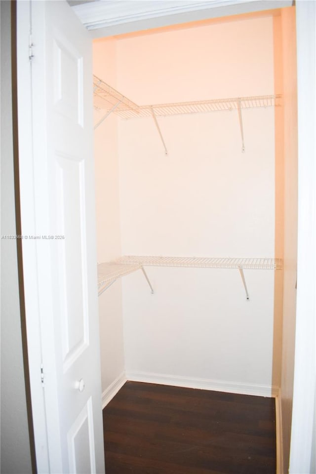9123 SW 152nd Path, Miami, FL 33196 - walk in closet with dark wood finished floors