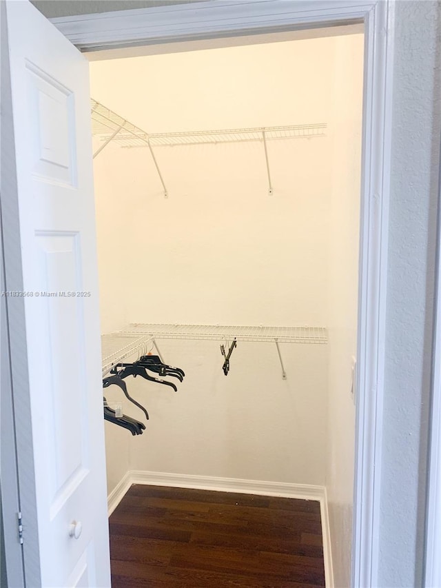9123 SW 152nd Path, Miami, FL 33196 - walk in closet with wood finished floors