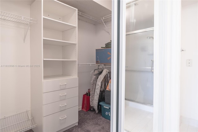 2541 N Nob Hill Rd Unit 309, Sunrise, FL 33322 - view of walk in closet