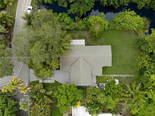 7650 SW 64th Ct, South Miami, FL 33143 - photo 5