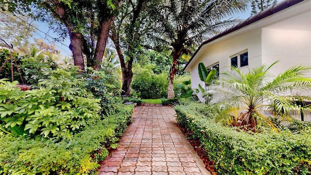 7650 SW 64th Ct, South Miami, FL 33143 - photo 18