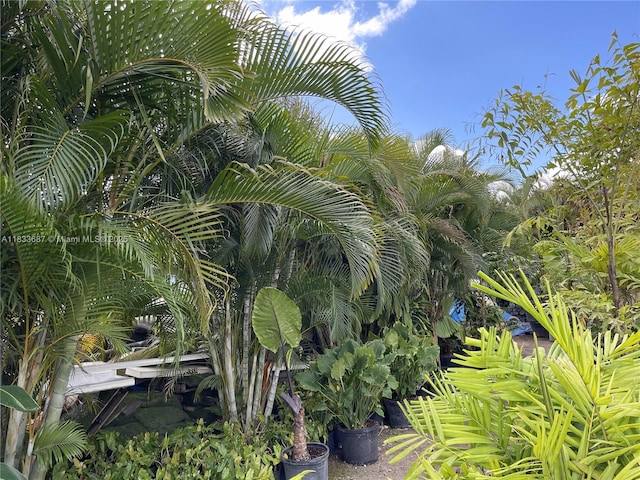 17349 SW 46th St, Southwest Ranches, FL 33331 - photo 14