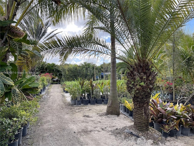 17349 SW 46th St, Southwest Ranches, FL 33331 - photo 21