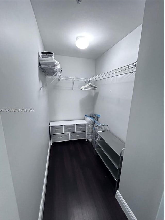 244 Biscayne Blvd Unit 440, Miami, FL 33132 - walk in closet with dark wood-style flooring