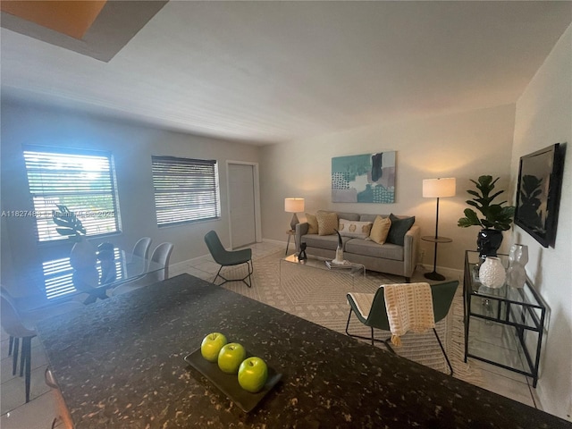 4051 NE 13th Ave Unit 55-3, Oakland Park, FL 33334 - living room featuring baseboards