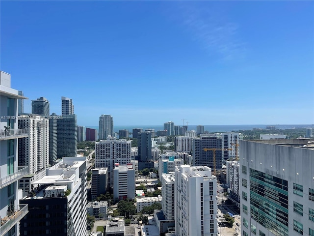 690 SW 1st Ct Unit 19, Miami, FL 33130 - city view