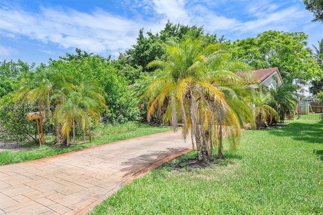 220 NW 35th Ct, Oakland Park, FL 33309 - view of home's community featuring a yard and driveway