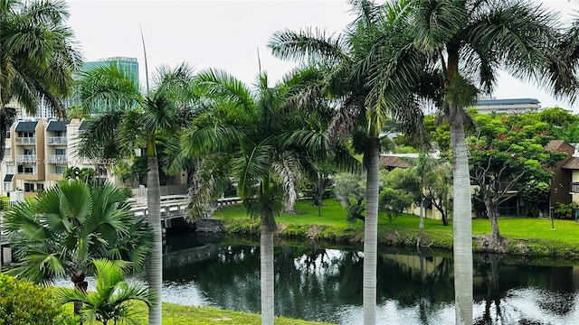 7900 Camino Crk Unit 401, Miami, FL 33143 - water view