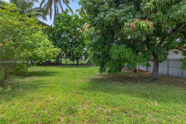 8224 NW 1st Pl, Miami, FL 33150 - view of fenced backyard