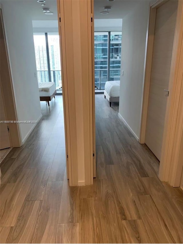 801 S Miami Ave Unit 2609, Miami, FL 33130 - hallway with wood finished floors and baseboards