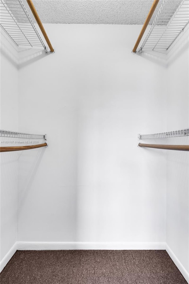 8895 Fontainebleau Blvd Unit 301, Miami, FL 33172 - walk in closet featuring carpet