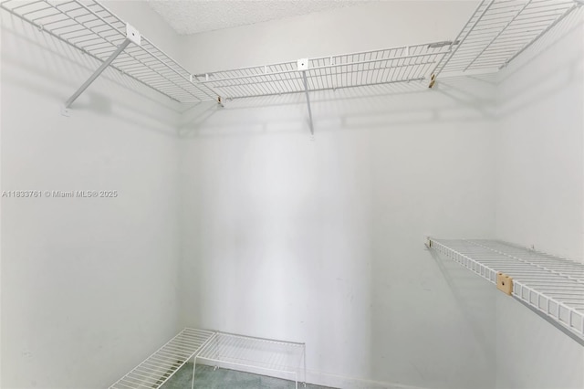 10304 Sunrise Lakes Blvd Unit 209, Sunrise, FL 33322 - view of spacious closet