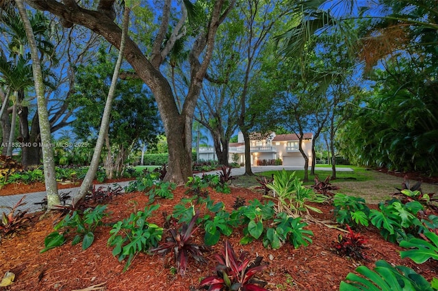 8250 SW 187th St, Cutler Bay, FL 33157 - view of yard