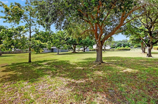 4061 Nova Ln, Lake Worth, FL 33462 - view of green lawn