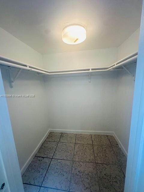 3181 SW 13th St Unit 307, Miami, FL 33145 - view of spacious closet