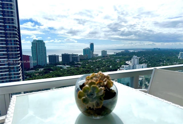79 SW 12th St Unit 3904S, Miami, FL 33130 - photo 16