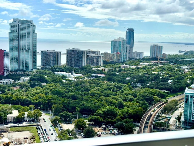 79 SW 12th St Unit 3904S, Miami, FL 33130 - photo 18