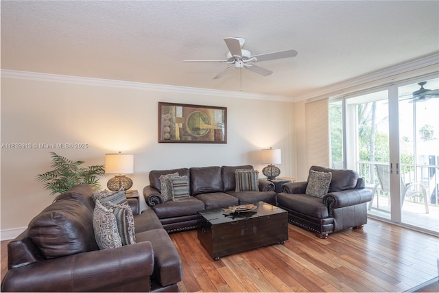 101 Gulfview Dr Unit 202, Key Colony, FL 33036 - living area with ceiling fan, light wood-style flooring, and crown molding
