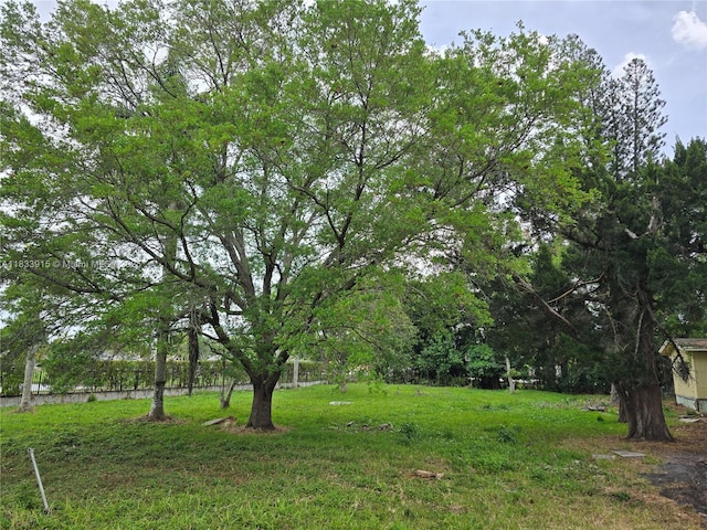 4801 SW 58th Ave, Davie, FL 33314 - photo 4