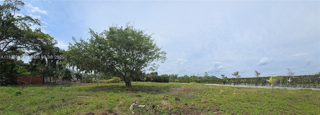 4801 SW 58th Ave, Davie, FL 33314 - photo 11