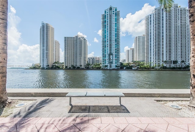 325 S Biscayne Blvd Unit 3918, Miami, FL 33131 - water view with city skyline