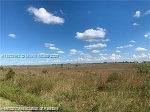 LOTSG NW 318th St, Okeechobee, FL 34972 - photo 8