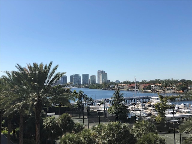 2 Grove Isle Dr Unit B410, Miami, FL 33133 - water view