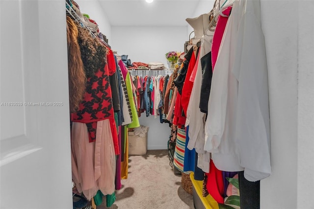 2409 NW 131st Cir, Miami, FL 33167 - spacious closet featuring carpet
