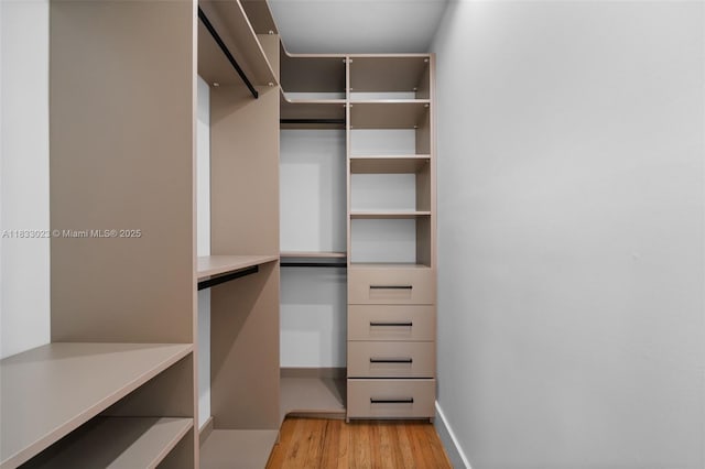 1003 NE 115th St, Biscayne Park, FL 33161 - walk in closet with light wood-style floors